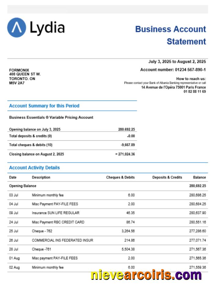 Lydia Noir bank business firm account statement Word snd PDF format